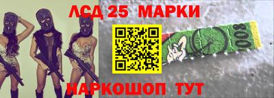 прущие грибы Кандалакша