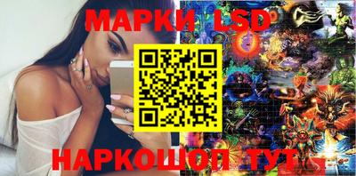 прущие грибы Кандалакша