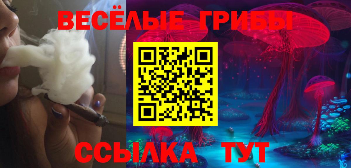 Псилоцибиновые грибы MAGIC MUSHROOMS  Вход с VPN  Великие Луки 